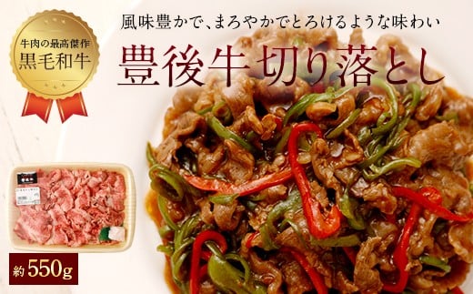 074-376 豊後牛 切落とし (小間切れ) 約550g 牛肉大分県豊後大野市12000肉牛肉