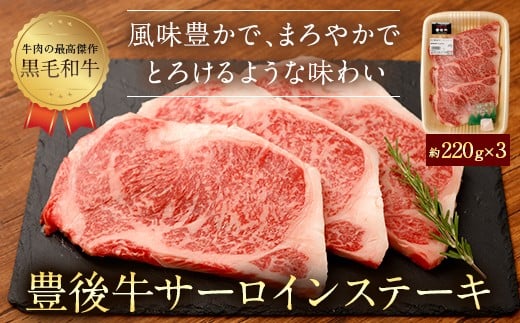 074-384 豊後牛 サーロイン ステーキ 合計660g 牛肉大分県豊後大野市34000肉牛肉