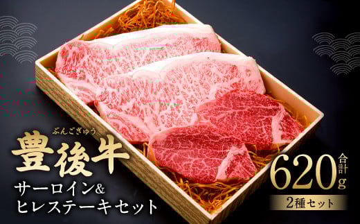 082-429 サーロイン 2枚 ヒレ 2枚 ステーキ 計4枚 620g 牛肉大分県豊後大野市48000肉牛肉