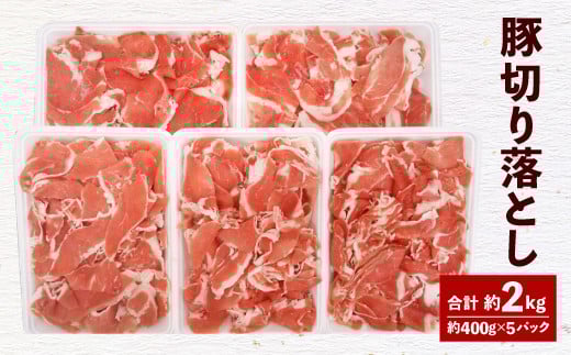 093-476 大分県産 米の恵 豚 切落し 約2kg 約400g×5 豚肉大分県豊後大野市12000肉豚肉
