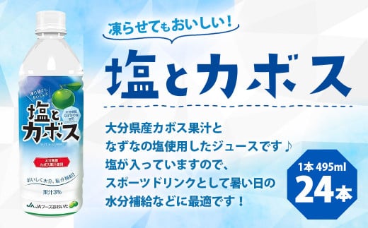 022-518 塩とカボス 495ml×24本  かぼす なずな ジュース スポーツドリンク大分県豊後大野市10000お茶・飲料果汁・野菜飲料
