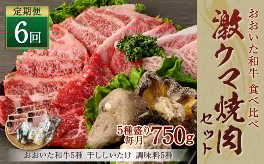 145-755 【 定期便 6回】「 激ウマ 焼肉 セット 」 牛肉 和牛 国産 大分県産大分県豊後大野市300000肉牛肉