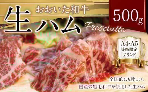 091-832 おおいた 和牛 生ハム 500g 大分県産 国産 黒毛和牛 お肉 牛肉大分県豊後大野市22000肉加工肉(ハム・ソーセージ等)
