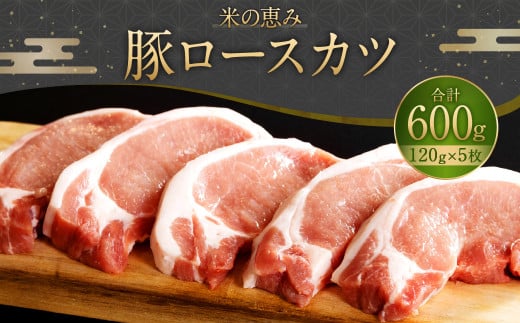 093-1019 豚ロースカツ 600g(120g×5枚)大分県豊後大野市9000肉豚肉