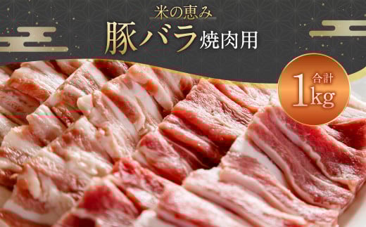 093-1021 豚バラ焼肉用 1kg大分県豊後大野市10000肉豚肉