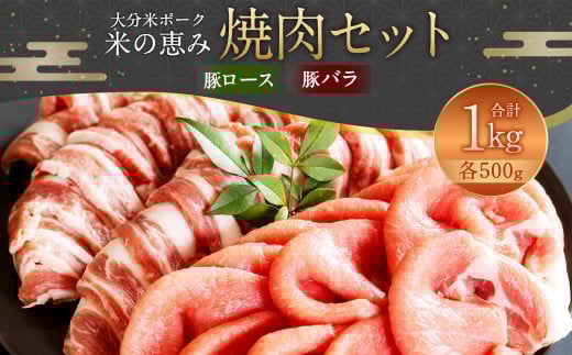 093-1023 豚ロース・豚バラ 焼肉セット 約1kg大分県豊後大野市12000肉豚肉