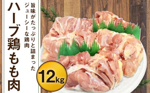 170-1073 yƖpz n[u{  12kg i2kg×6pbNj啪Ls45000{