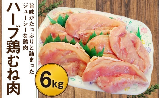 170-1078  n[u{ ނ˓ 6kgi2kg×3܁j啪Ls15000{