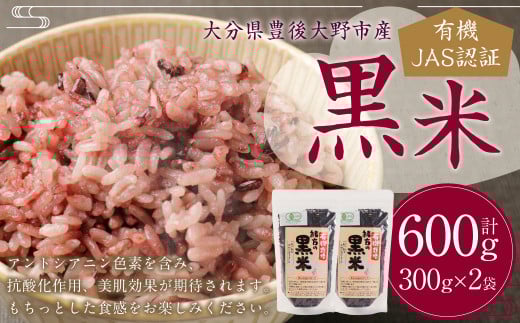 147-1107  600gi300g×2܁j L@JASF   啪 Ls啪Ls9000āEpāEGāEāE