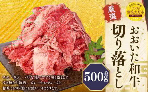173-1176 おおいた和牛 切り落とし(500g)厳選 国産 和牛 肉 牛肉 冷凍 肉じゃが 牛丼 焼肉 カレー シチュー 炒め物大分県豊後大野市12000肉牛肉