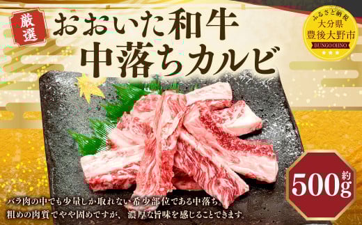 173-1178 おおいた和牛 中落ちカルビ(500g)和牛 カルビ 牛肉 冷凍 肉 焼肉 鉄板焼 BBQ バーベキュー お取り寄せ グルメ大分県豊後大野市12000肉牛肉