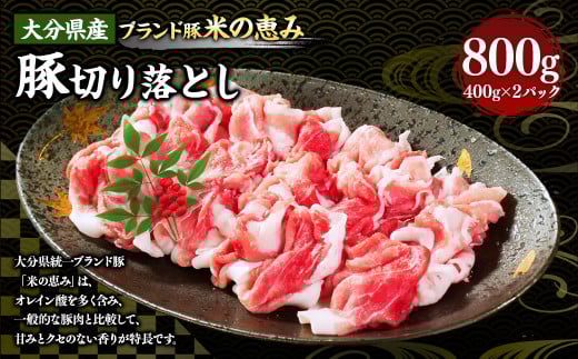 173-1174 大分県産 【米の恵み】 豚 切り落とし 800g(400g×2パック) 豚肉 小分け しゃぶしゃぶ おかず 国産 ポーク 肉 冷凍大分県豊後大野市8000肉豚肉