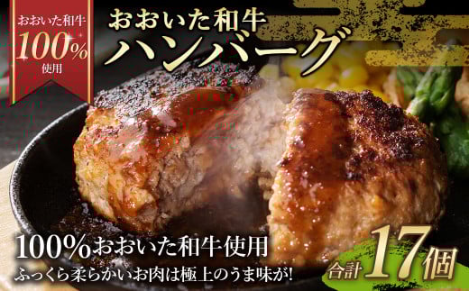 175-1192 【おおいた和牛 100%使用】 おおいた和牛 ハンバーグ 17個 計約1.2kg 牛肉 肉 おかず 惣菜 冷凍 簡単調理大分県豊後大野市10000肉加工肉(ハム・ソーセージ等)