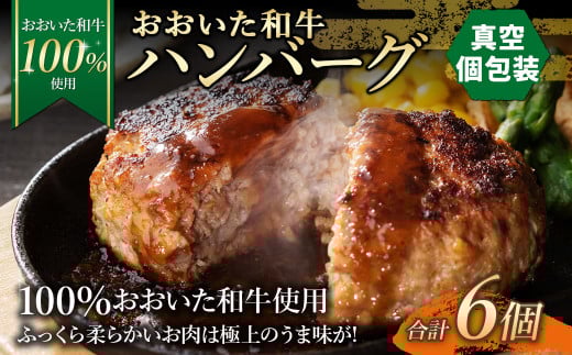 175-1196  【おおいた和牛 100%使用】おおいた和牛 ハンバーグ 6個 計約420g (真空個包装)牛肉 肉 おかず 惣菜 冷凍 簡単調理大分県豊後大野市7000肉加工肉(ハム・ソーセージ等)