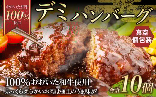 175-1202 【おおいた和牛 100%使用】デミ ハンバーグ 10個 計約1.5kg 牛肉 肉 和牛 おかず 惣菜 冷凍 簡単調理 デミグラス大分県豊後大野市10000肉加工肉(ハム・ソーセージ等)