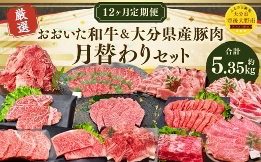 173-1284 【12ヶ月定期便】 毎月替わるおおいた和牛&大分県産豚肉セット!12ヶ月おおいた和牛月替わり 合計約5.35kg 1回あたり約400g〜約600g 牛肉 豚肉 おおいた和牛 食べ比べ セット ソース付き
