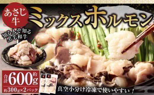 177-1295 知る人ぞ知る 黒毛和牛 あさじ牛 ミックスホルモン 約300g×2袋 計約600g 真空小分け 冷凍で使いやすい ホルモン 大腸 小腸 センマイ ハツ 赤センマイ大分県豊後大野市12000肉牛肉