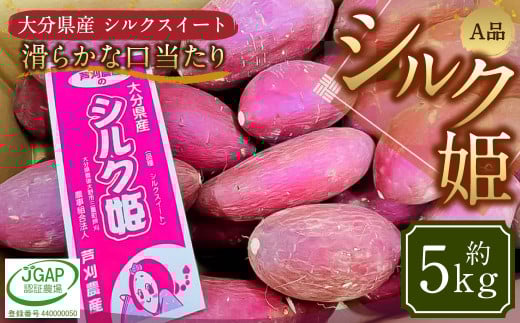 004-1304 シルク姫 約5kg(A品) さつまいも いも イモ 芋 シルクスイート 国産 常温 大分県 豊後大野市 【2025年9月上旬〜2026年5月下旬発送予定】大分県豊後大野市11000野菜・きのこじゃがいも・