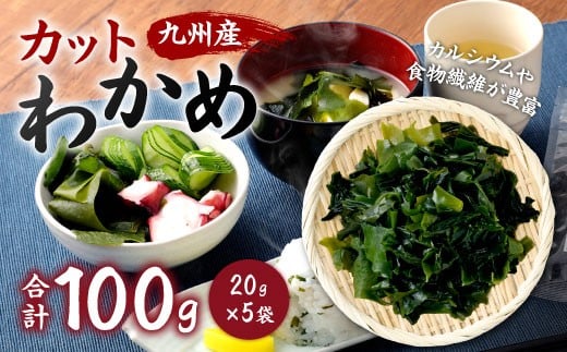 081-1312 九州産 カットわかめ 20g×5袋 計100g ワカメ 海藻 海産物 乾燥 セット 国産 九州 常温大分県豊後大野市10000魚介・海産物のり・海藻