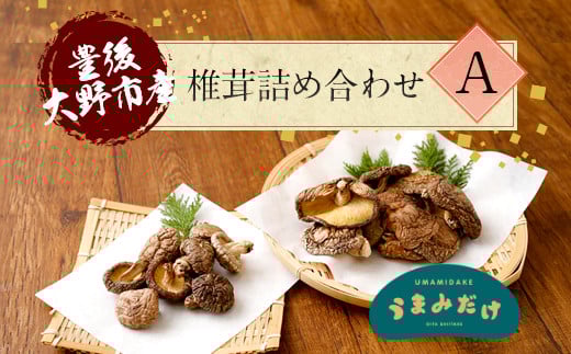 015-1221x1 豊後大野市産 椎茸 詰め合わせA  6袋セット うまみだけ大分県豊後大野市11000調味料・油だし