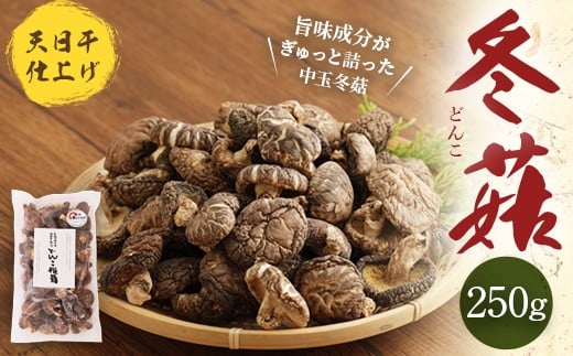 015-295x2 LsY Vd  ~ ǂ 250g  ő啪Ls15000E