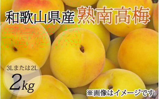 ys\zy~E~pzi3L܂2L|2Kgjn썂~2026N6{`77\聄yART06z /~ t[c ~  ~ 썂~ n ʕ  Hi lC   a̎R yart008B
