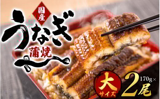 大型サイズ ふっくら柔らか国産うなぎ蒲焼き 2尾/うなぎ 蒲焼 鰻 国産 冷凍 【uot302A-3】和歌山県紀美野町23000魚介・海産物うなぎ
