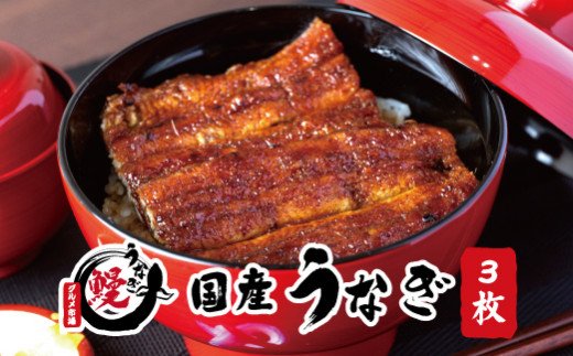 国産うなぎ 関西風蒲焼 大サイズ3枚(合計約450g)薬味付 【紀美野グルメ市場】/【miw106】和歌山県紀美野町20000魚介・海産物うなぎ