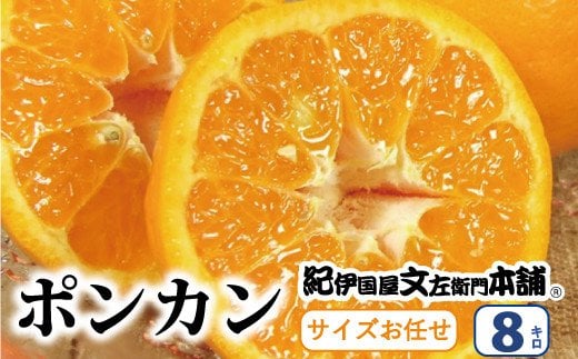 ポンカン 約8kg サイズおまかせ ※2026年1月下旬〜2026年2月下旬頃に(お届け日指定不可) 紀伊国屋文左衛門本舗 / ぽんかん 蜜柑 みかん 柑橘 果物 フルーツ 【kmtb450B】和歌山県紀美野町25000果