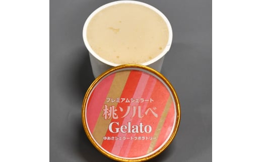 v~AWF[g \x 12Zbg100ml 䂠WF[g{g[ Iɍq{ SenZanAn Premium Ice Cream / ACX ACXN[ WF[g XC[c ykmtb700-10za