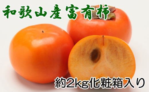 mIEYna̎RY̕xL`2kgiϔji2L`4LTCYj2025N11{`2025N12{ɏ / ʕ t[c  { ytec406Aza̎RI쒬12000ʕEt[c