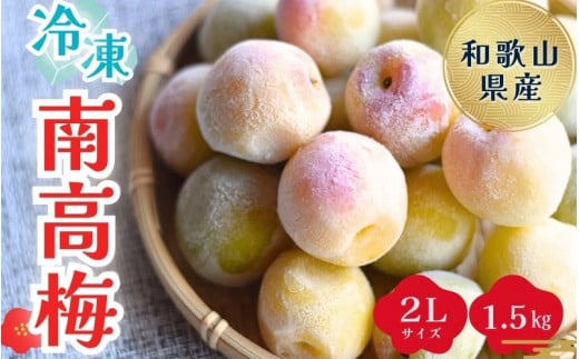 紀美野町産 冷凍南高梅 2Lサイズ1.5キロ / 南高梅 梅 うめ 冷凍 和歌山 梅ジャム 梅酒 梅シロップ 大粒【twn003C】和歌山県紀美野町13000果物・フルーツその他 果物・フルーツ