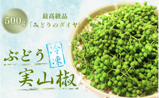 冷凍 ぶどう 生実山椒 500g (250g×2袋) / 小分け 使いやすい 山椒 さんしょう 香辛料 調味料 薬味 冷凍 ぶどう山椒 生山椒 和歌山県 紀美野町 生実山椒【twn006C】和歌山県紀美野町20000野菜・きの