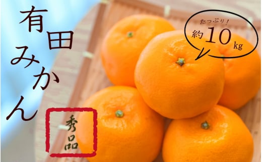 紀州有田みかん 秀品 約10kg サイズおまかせ(L・М・S) / みかん ミカン くだもの 果物 フルーツ 柑橘 和歌山【sml109B】和歌山県紀美野町25000果物・フルーツみかん・柑橘類