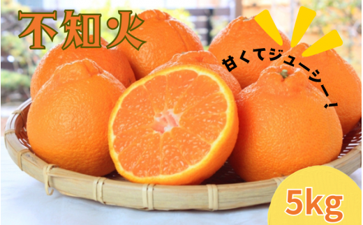 紀州有田産不知火(しらぬひ) 約5kg ※2026年2月中旬頃〜2026年3月中旬頃に順次発送予定(お届け日指定不可)/ みかん 蜜柑 フルーツ 果物 くだもの しらぬい【uot709A】和歌山県紀美野町16000果物