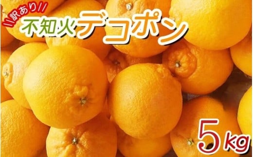 ちょこっと訳あり! 不知火 デコポン 約5kg【ご家庭用】 ※2026年2月中旬〜4月中旬〜に順次発送予定(お届け日指定不可)/ 訳あり不知火 訳ありデコポン 訳ありみかん 訳あり ワケあり ワケア