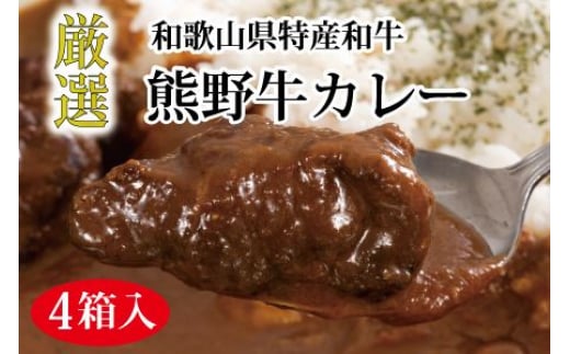 特選黒毛和牛 熊野牛カレー 4箱 【mtf102】和歌山県紀美野町13000鍋セット・総菜・加工食品総菜