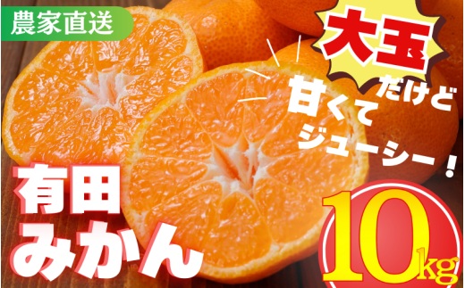 【農家直送】有田みかん 約10kg  大玉3L以上 有機質肥料100% ※2025年12月初旬〜1月中旬に順次発送(お届け日指定不可)※北海道・沖縄・離島への配送不可 / ミカン 蜜柑 柑橘 フルーツ くだも