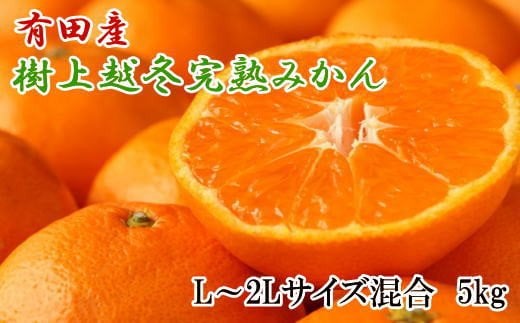 【濃厚・まろやか】有田産樹上越冬完熟みかん5kg(L〜2Lサイズ混合・秀品)※2026年1月下旬頃〜2月中旬頃 / 果物 くだもの フルーツ 蜜柑 みかん 【tec874B】和歌山県紀美野町18000果物・フルー
