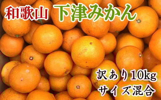 【訳あり】和歌山下津みかん約10kgご家庭用向け(サイズ混合) ※2025年11月中旬〜2026年1月中旬頃順次発送 / 果物 くだもの フルーツ 蜜柑 みかん 訳アリ 和歌山 柑橘 オレンジ ミカン 【tec885A】