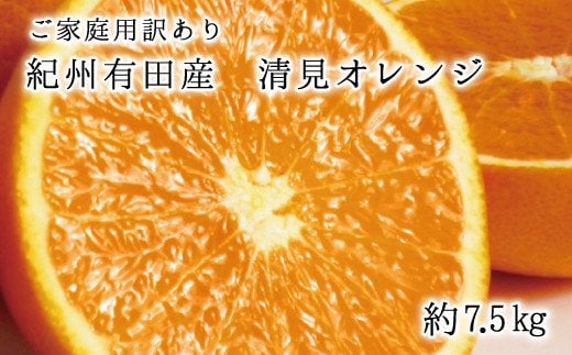 【先行予約】【ご家庭用訳アリ】紀州有田産清見オレンジ7.5kg ※2026年3月下旬頃〜2026年4月中旬頃に順次発送予定(お届け日指定不可)  / みかん 蜜柑 フルーツ 果物 くだもの オレンジ 【uot730