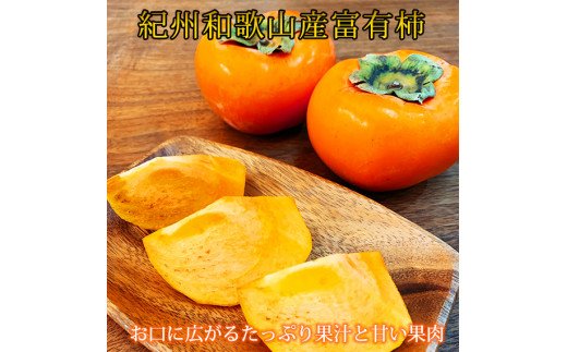 【ご家庭用わけあり】和歌山秋の味覚 富有柿 約3.5kg ※2025年11月上旬頃〜2025年12月上旬頃に発送(お届け日指定不可) / 果物 フルーツ 柿 旬 人気 先行予約 和歌山 すさみ町 くだもの 【uot