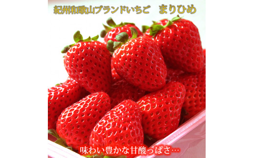 【先行予約】紀州和歌山ブランドいちご「まりひめ」約280g×2P ※2026年1月上旬頃〜2026年3月上旬頃に順次発送予定(お届け日指定不可)/ いちご イチゴ 苺 果物 フルーツ まりひめ 【uot759】