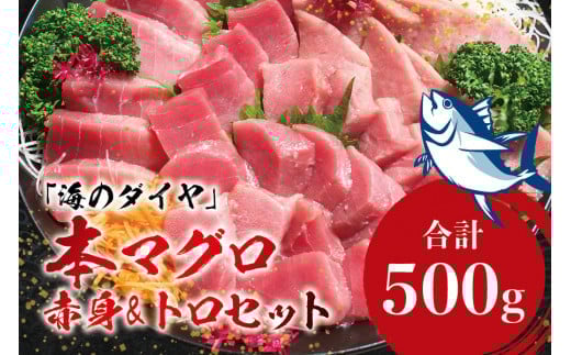 本マグロ(養殖)トロ&赤身セット500g 【1ヶ月以内に順次発送】/ 通常発送の他、年末発送  先行予約受付中【nks110D】和歌山県紀美野町24000魚介・海産物鮮魚