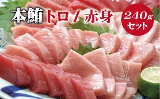 本マグロ(養殖)トロ&赤身セット 240g 【 1ヶ月以内に順次発送】/ 本マグロ 冷凍 まぐろ マグロ 鮪 中トロ 赤身 【nks113B】和歌山県紀美野町17000魚介・海産物鮮魚