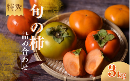 【☆令和7年産☆先行予約】【特秀】 紀美野町産 旬の柿詰め合わせ 約3kg 【2025年10月上旬〜11月下旬に順次発送致します。】/ 和歌山県 紀美野町 カキ 柿 太秋柿 紀ノ川柿 富有柿 早秋柿 秀品