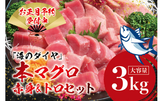本マグロ(養殖)トロ&赤身セット 3kg【12月25日〜30日に発送】/ 高級 クロマグロ 中トロ 中とろ まぐろ マグロ 鮪 刺身 赤身 柵 じゃばらまぐろ 本マグロ 本鮪【nks112B-sg】和歌山県紀美野町10