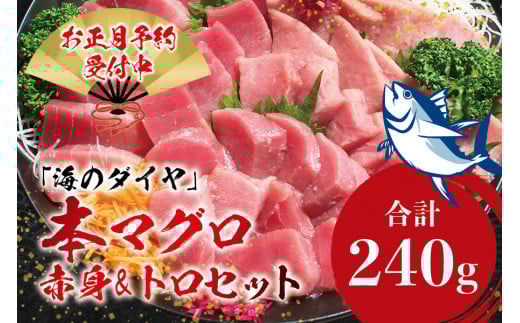本マグロ(養殖)トロ&赤身セット 240g 【12月26日〜30日に発送】 / 高級 クロマグロ 中トロ 中とろ まぐろ マグロ 鮪 刺身 赤身 柵 じゃばらまぐろ 本マグロ 本鮪【nks113B-sg】和歌山県紀美野