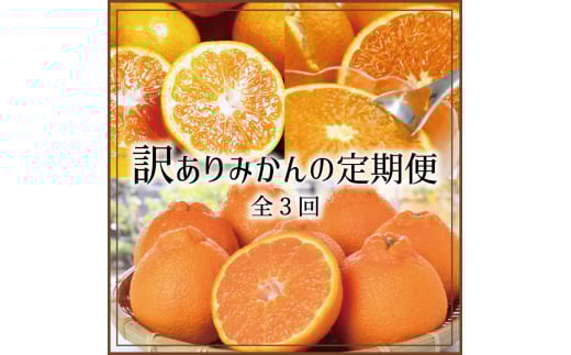 【3か月定期便】たっぷり届く♪訳ありみかんの定期便/みかん 柑橘 果物 フルーツ 定期便 温州 ミカン 不知火 でこぽん オレンジ 【tkb113】和歌山県紀美野町55000果物・フルーツみかん・柑橘