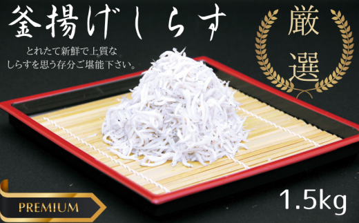 _ӂAՂՂI^g炷 Ղ 1.5kg(500g3) / VX I   Ⓚ 炷 a̎RYykma001za̎RI쒬14000ECY̑ ECY